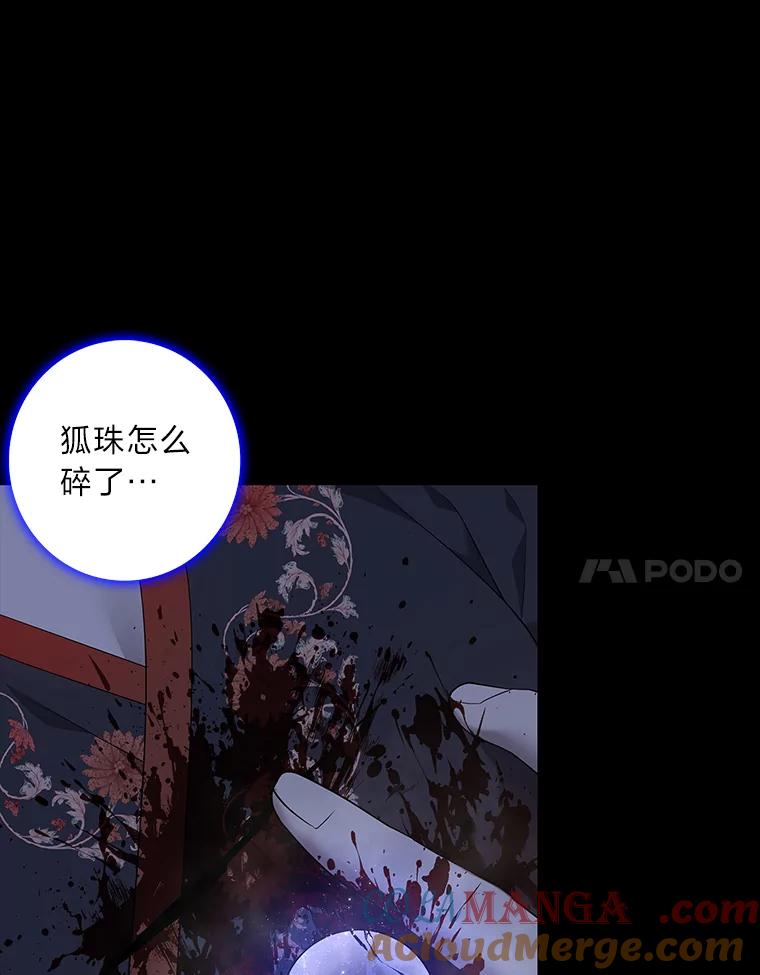 《魅惑狐狸》79.雪狐的最后 第41页