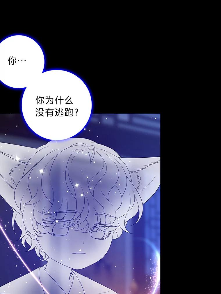 《魅惑狐狸》79.雪狐的最后 第114页