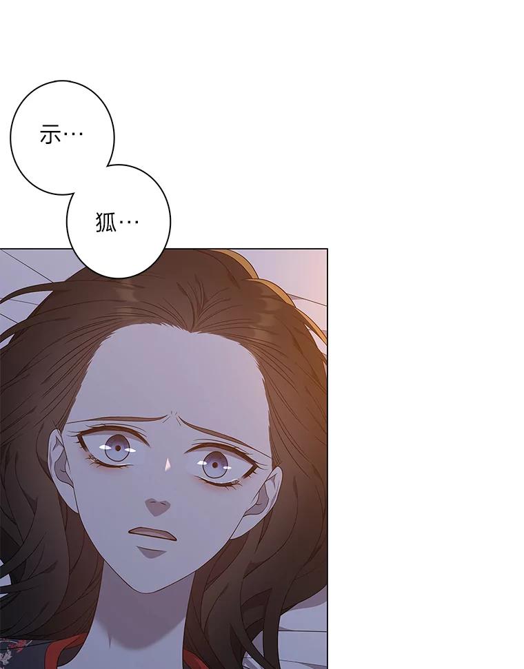 《魅惑狐狸》79.雪狐的最后 第8页