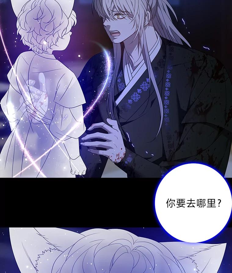 《魅惑狐狸》80.真相大白 第47页