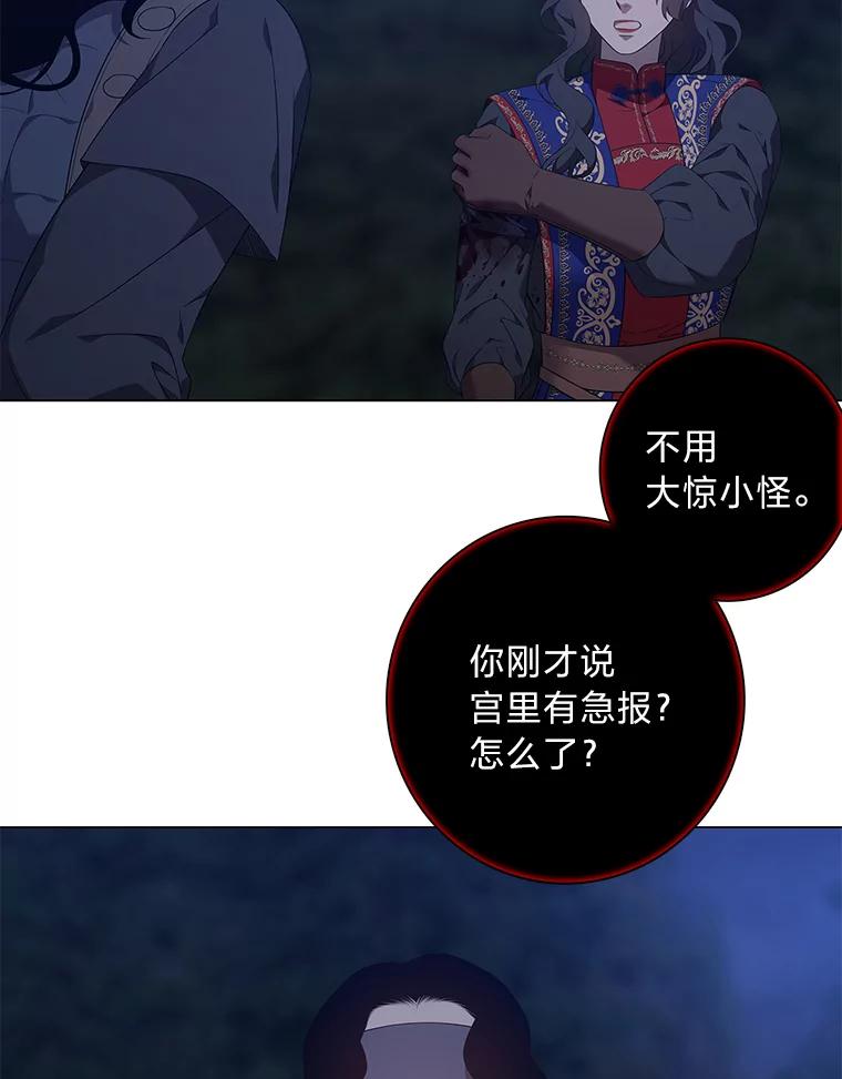《魅惑狐狸》81.求你活下去 第16页