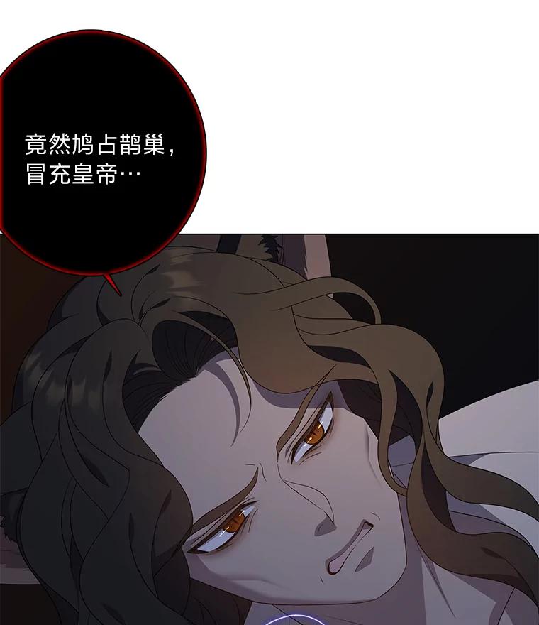 《魅惑狐狸》81.求你活下去 第38页