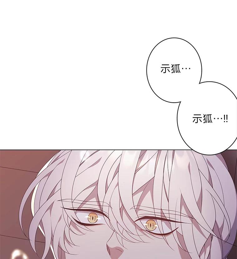 《魅惑狐狸》83.黎廷的决心 第50页