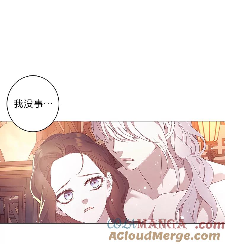 《魅惑狐狸》83.黎廷的决心 第40页