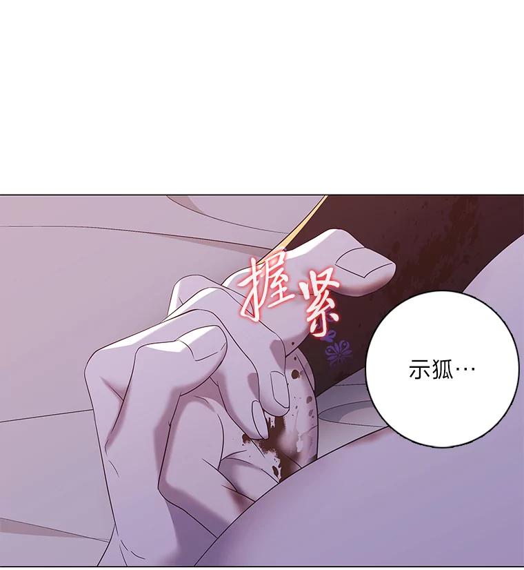 《魅惑狐狸》83.黎廷的决心 第3页