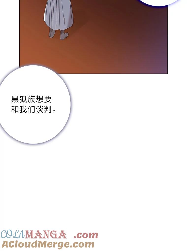 《魅惑狐狸》84.黎廷的消息 第25页