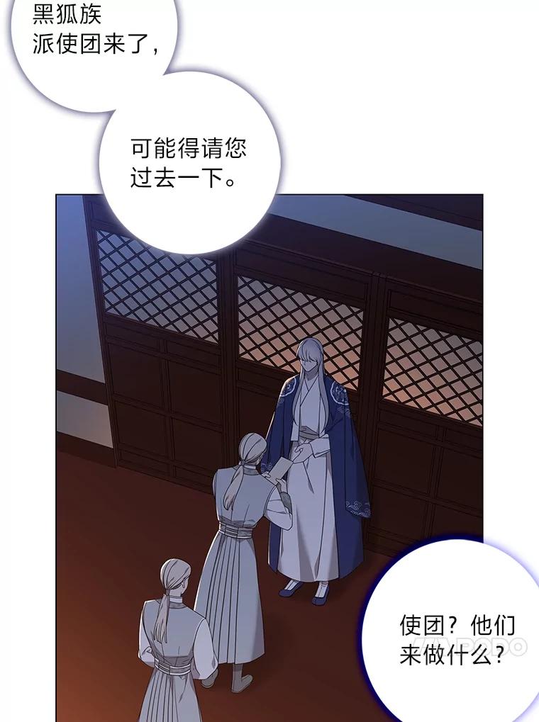 《魅惑狐狸》84.黎廷的消息 第24页