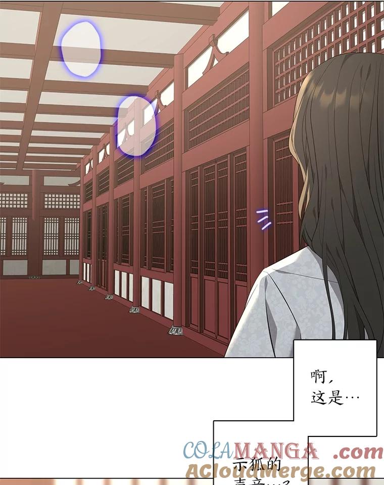 《魅惑狐狸》84.黎廷的消息 第49页