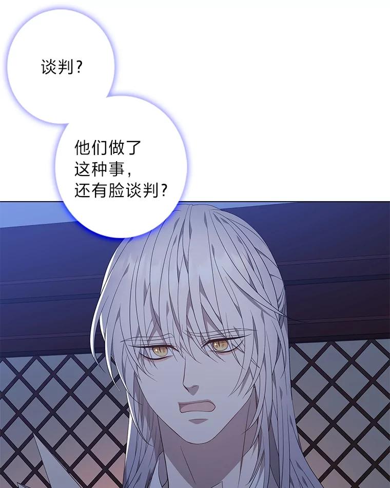 《魅惑狐狸》84.黎廷的消息 第26页