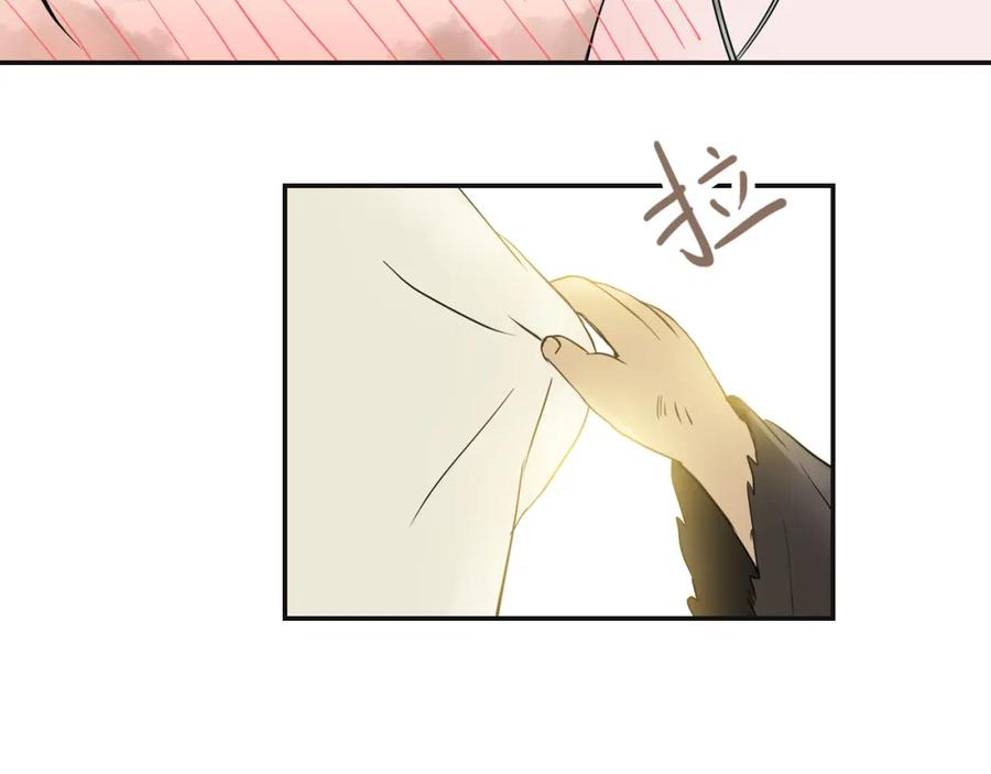 《天下无赖》第三章 欺骗 第66页