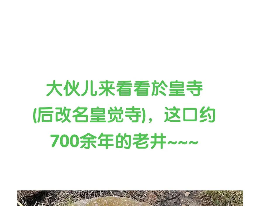 《天下无赖》第四十八章 你自由了 第103页