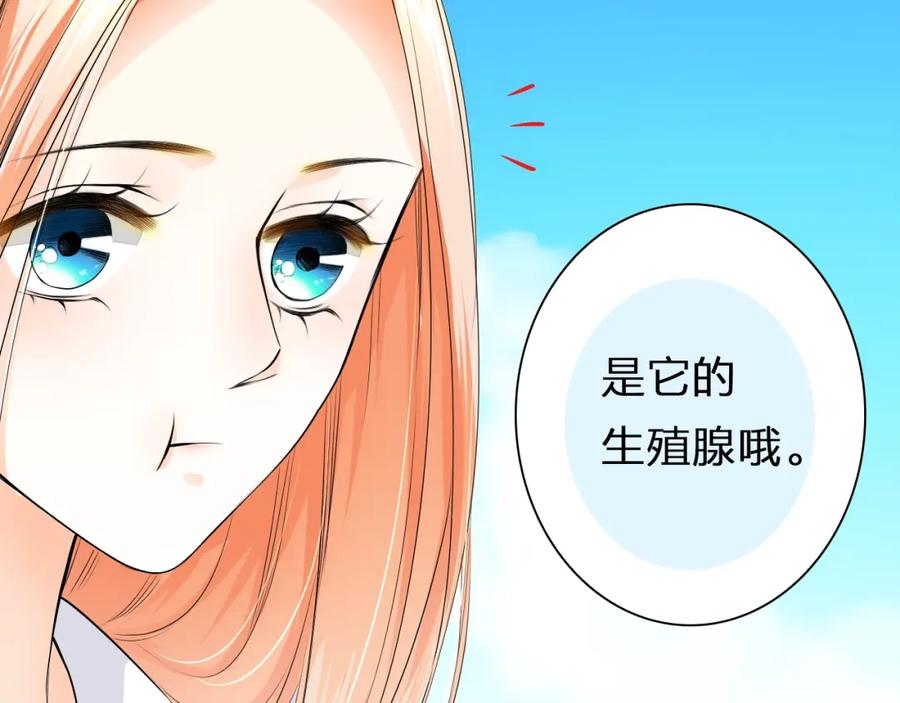 《甜心赌约》第34话 星空下的疑问 第2页
