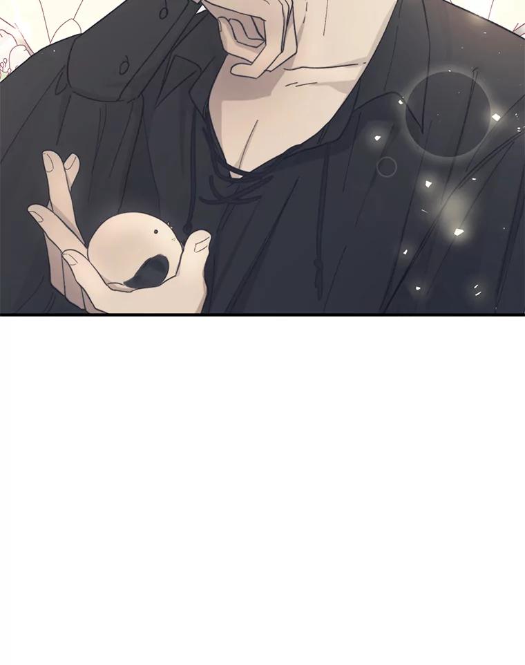 只需轻握我的手 8.不会飞的鸟 第99页