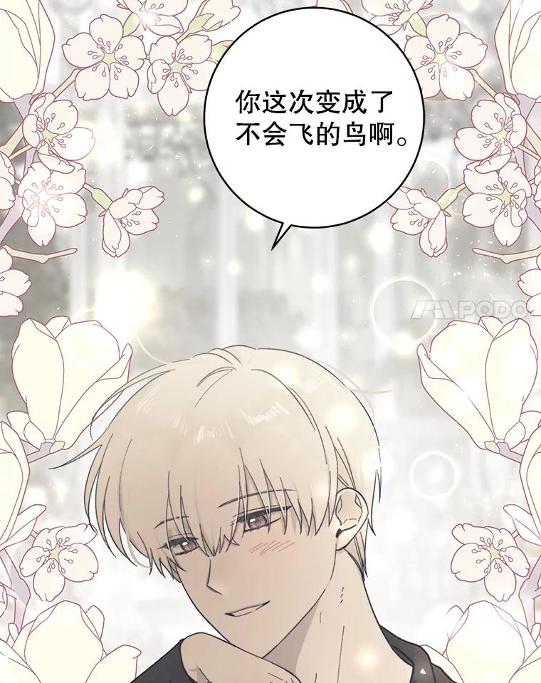 只需轻握我的手 8.不会飞的鸟 第98页