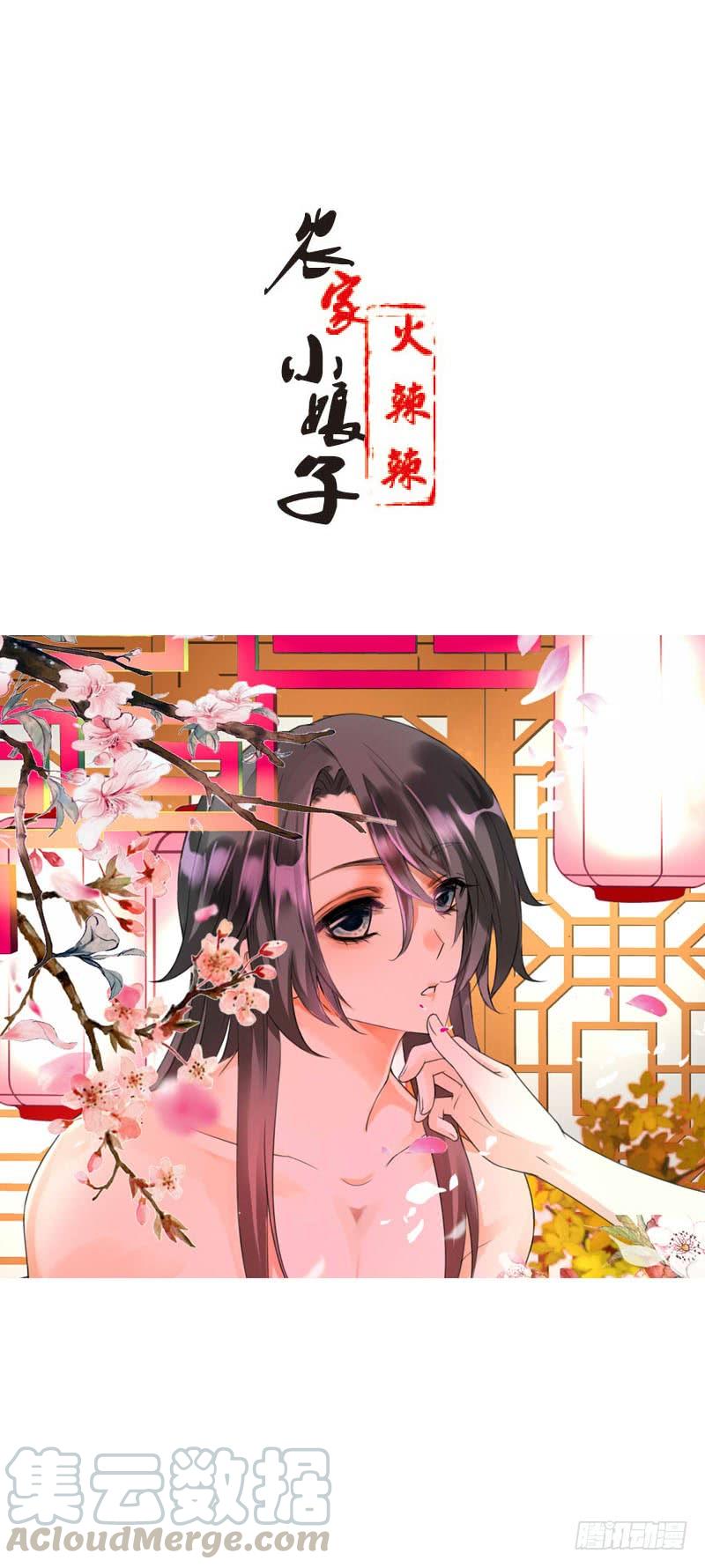 《田园蜜宠：农家小娘子火辣辣》第四十四话 二哥的生辰 第1页