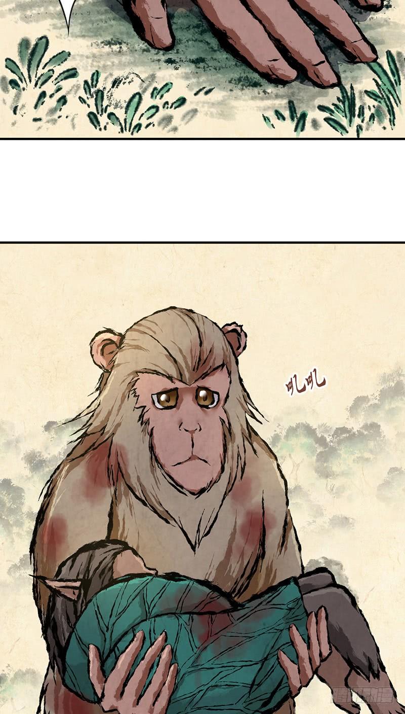 《田园战歌：神界拓荒录》056 区划 第56页