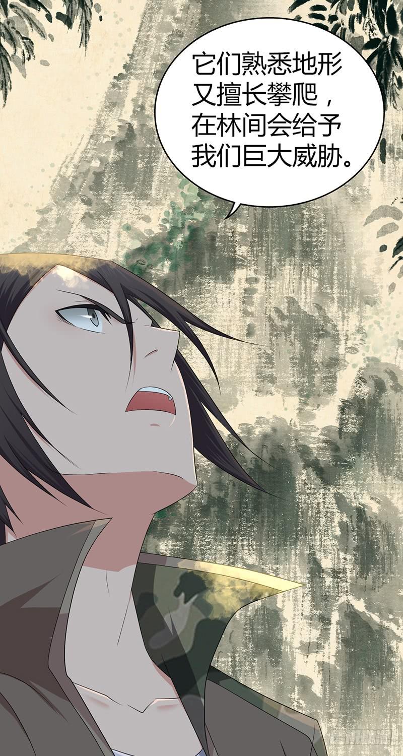 《田园战歌：神界拓荒录》057 狌狌的生态 第35页