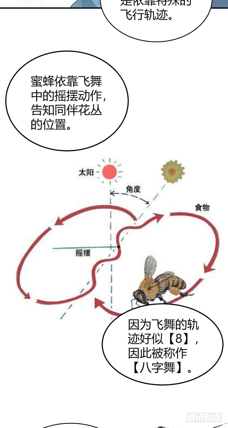 《田园战歌：神界拓荒录》061 八字舞 第16页