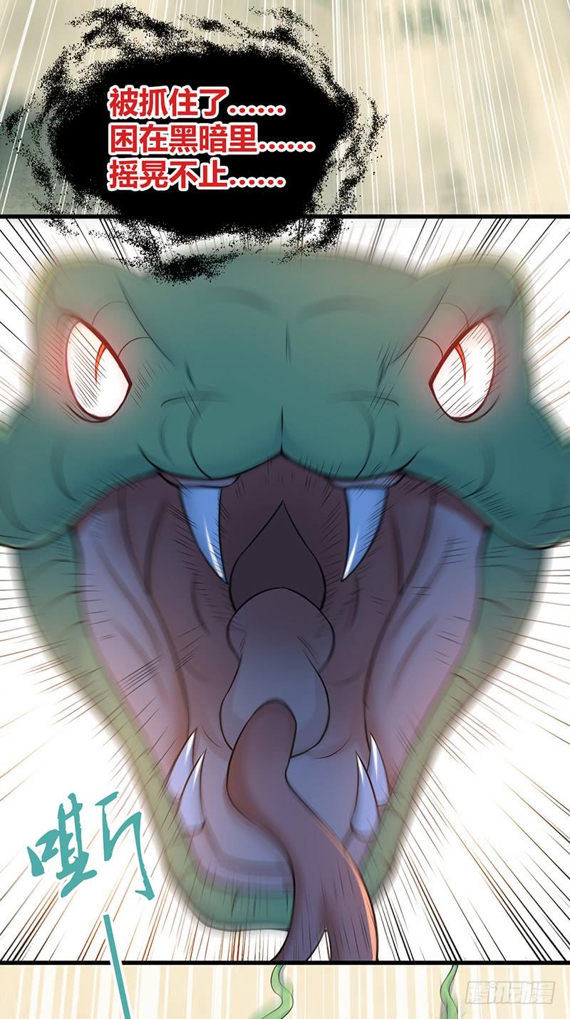 《田园战歌：神界拓荒录》066 放生的福报 第56页
