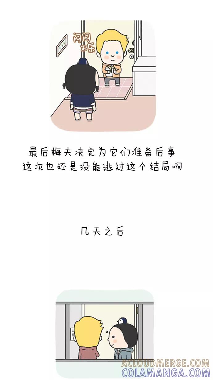 《先生是英国人》[第41话] 梅夫的树 第9页