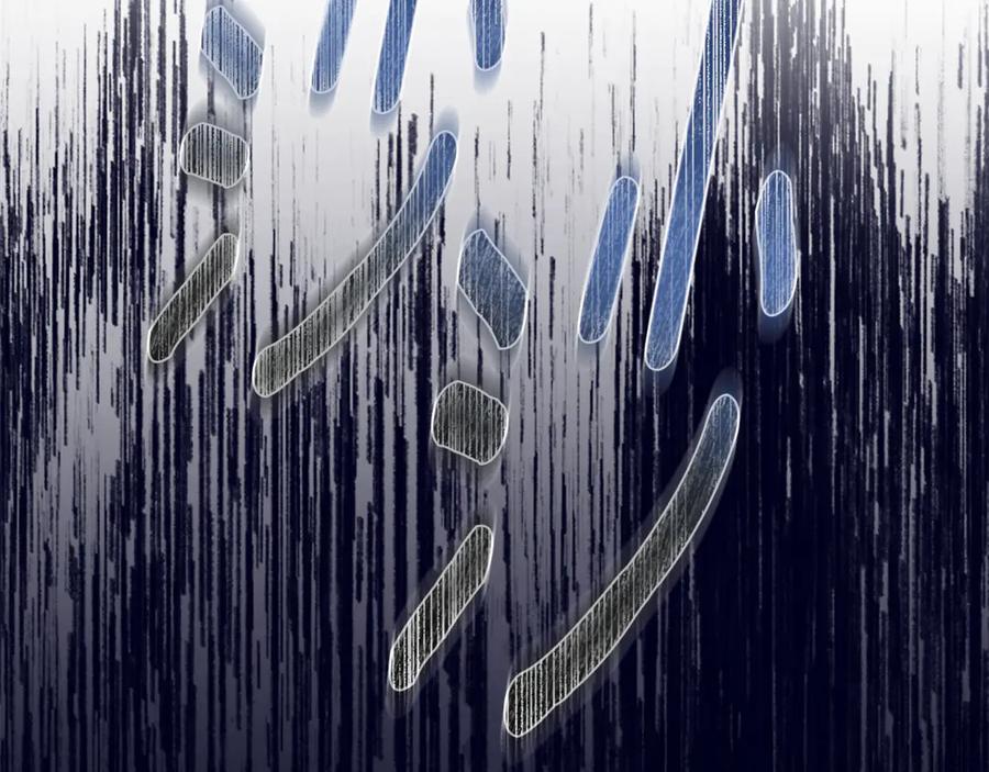野林·狂爱 第47话 她是我的一切 第78页