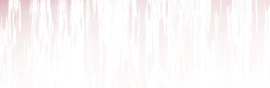 冒牌圣女等待离场 第85话 她可能是我姐姐 第11页