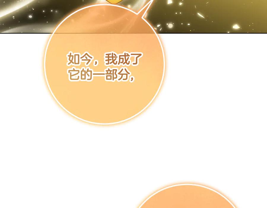 冒牌圣女等待离场 第89话 为爱献身 第164页