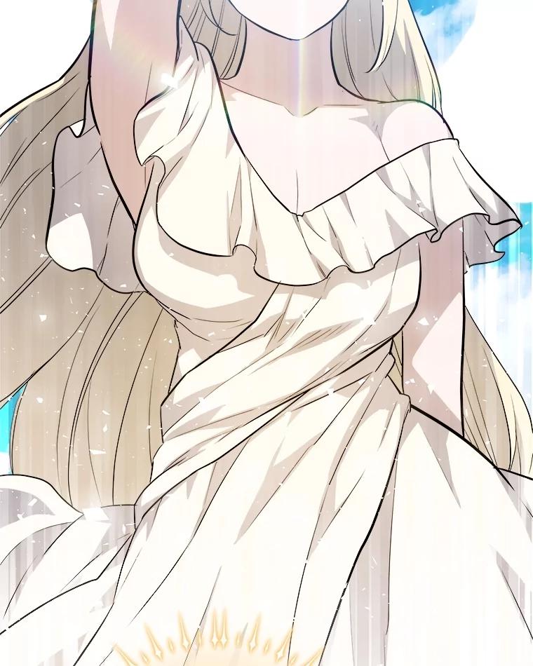 《被圣剑选择的少年》97.女神降临 第102页