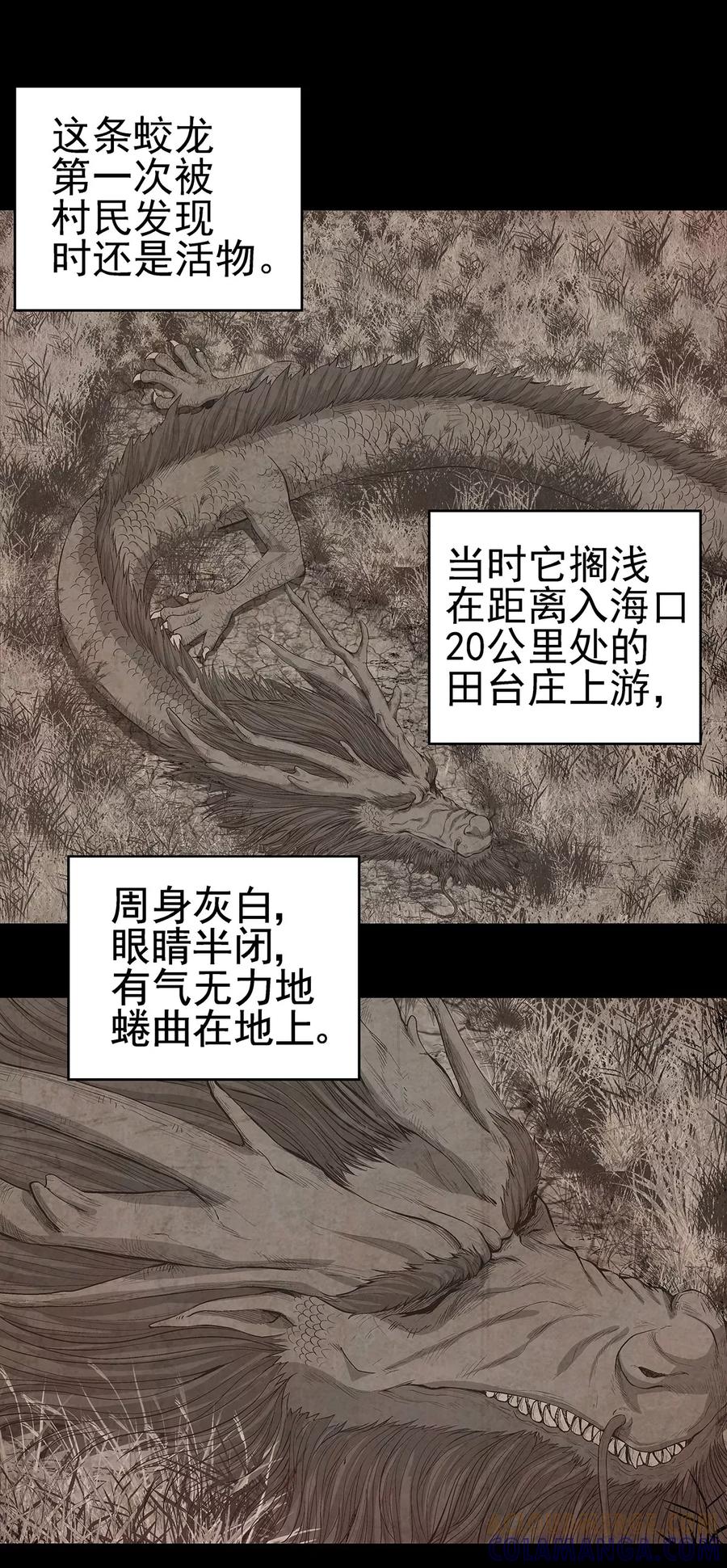 《挑战者还是空想家》第3话 营口坠龙事件 第5页