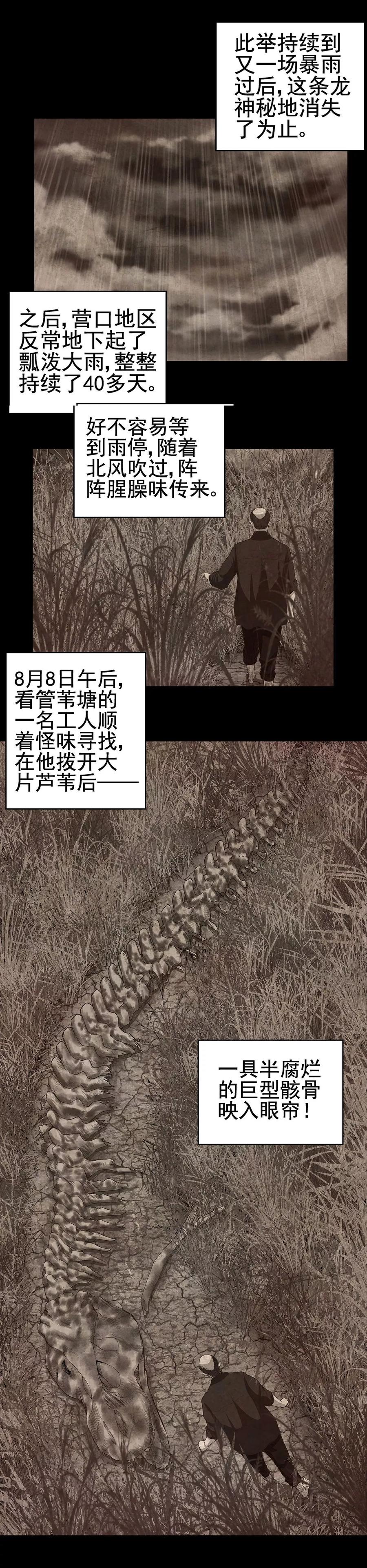 《挑战者还是空想家》第3话 营口坠龙事件 第8页