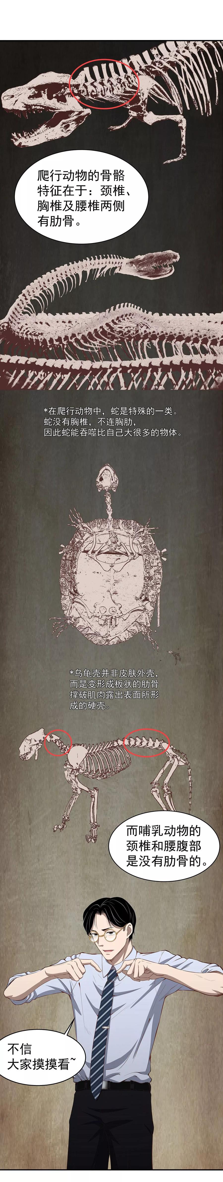 《挑战者还是空想家》第3话 营口坠龙事件 第26页