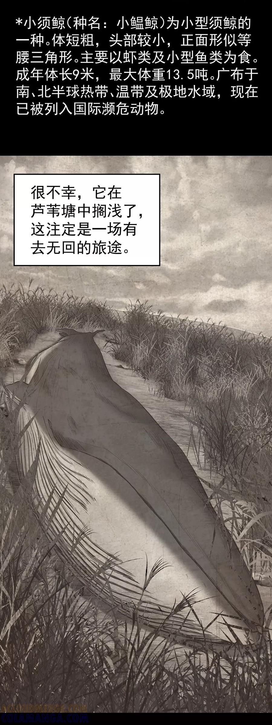 《挑战者还是空想家》第4话 有去无回的旅途 第4页
