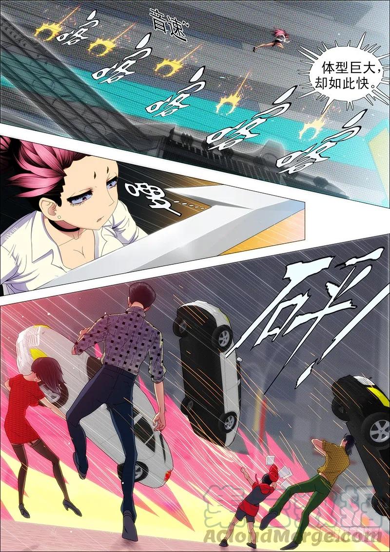 铁姬钢兵 二级傀儡 第5页