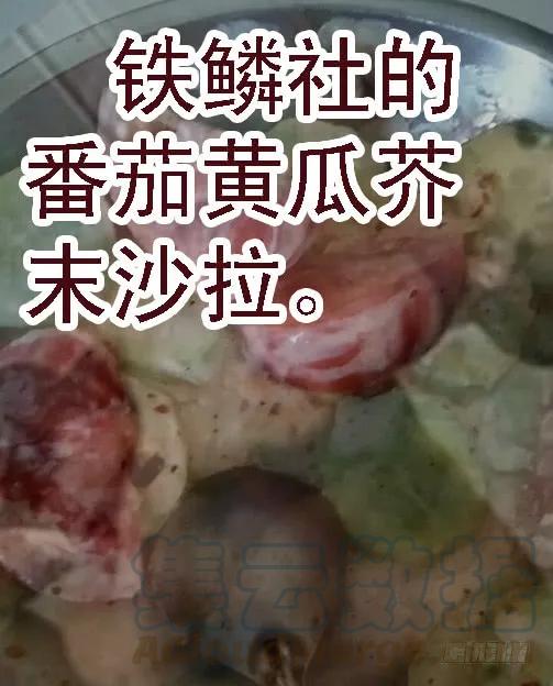 铁姬钢兵 三千青丝换一刻狂傲 第11页