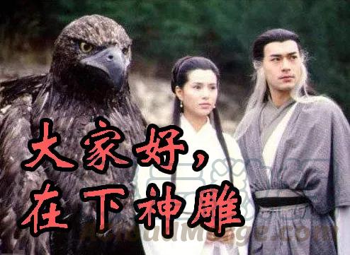 铁姬钢兵 孜然碳烤蟒 第11页