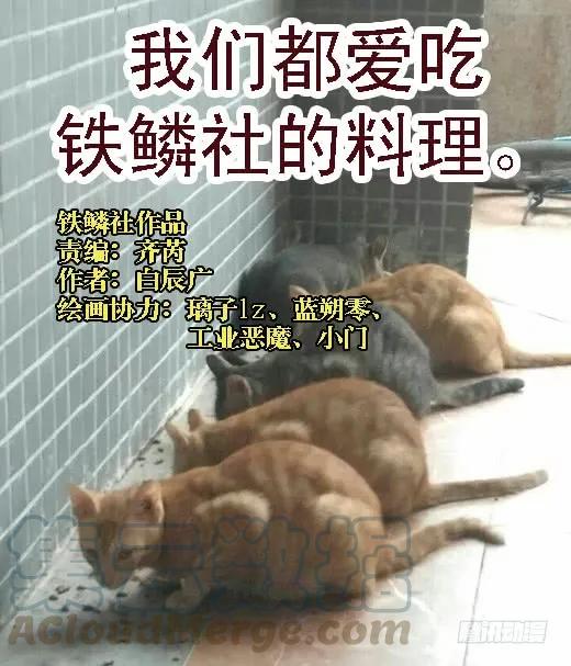 铁姬钢兵 烟雨江南 第11页