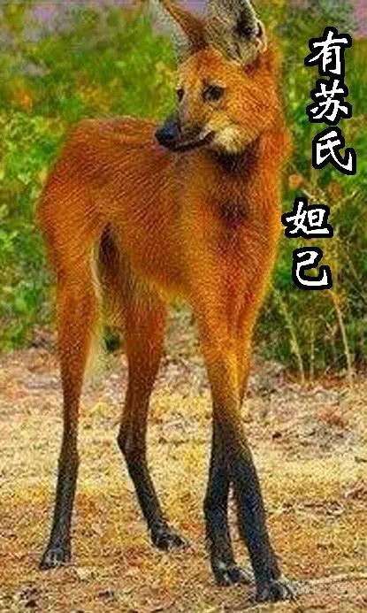 铁姬钢兵 对不起我错了 第12页
