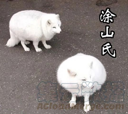 铁姬钢兵 友好问候 第11页