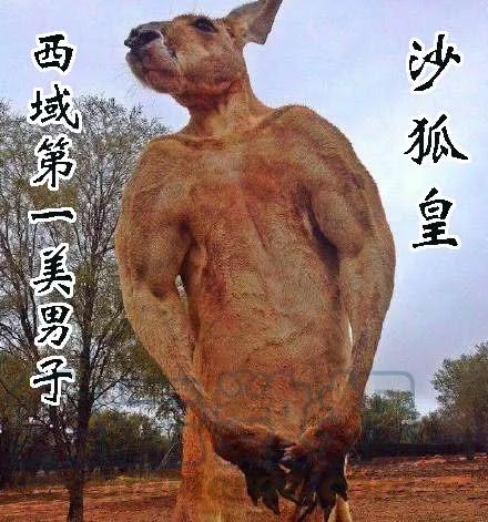 铁姬钢兵 下一站，文曲王朝 第11页