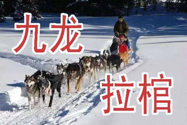 铁姬钢兵 慕小炮 第14页