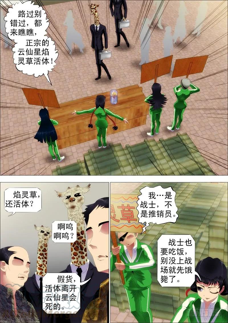 铁姬钢兵 掉毛金乌不如鸡 第1页