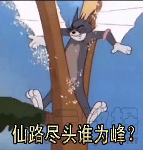 铁姬钢兵 发出定远般的狞笑 第16页