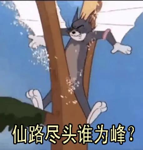 铁姬钢兵 表情包合集 第8页