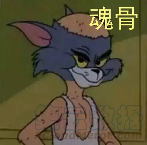 铁姬钢兵 表情包合集 第7页