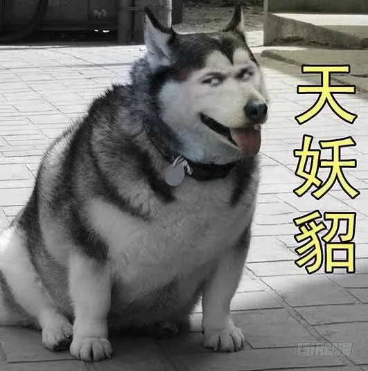 铁姬钢兵 慕总管、慕同学 第15页
