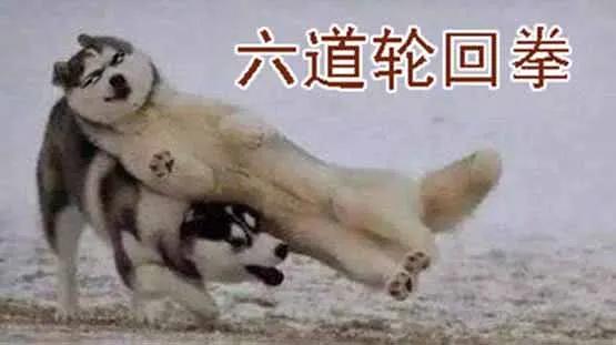 铁姬钢兵 巨鲲要吃恶龙 第15页