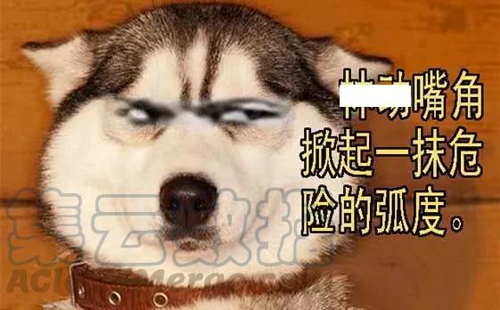 铁姬钢兵 索命也要讲道理 第16页