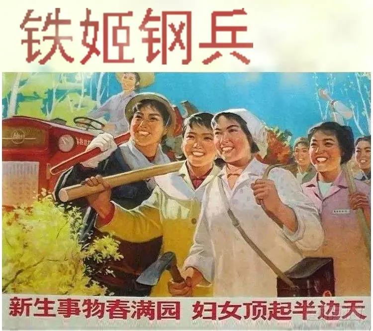 铁姬钢兵 老师，跟我回舰队 第15页