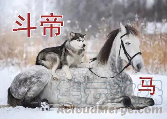铁姬钢兵 你不是我的学生该多好 第16页