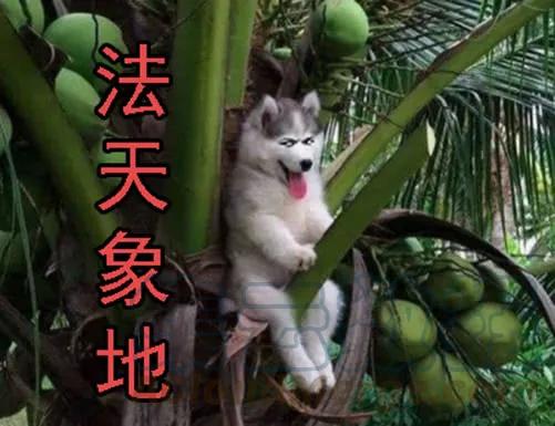 铁姬钢兵 神尸战体 第16页